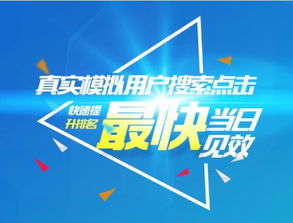 蜂鳥搜索營銷系統(tǒng) 賦能上海企業(yè)高效網(wǎng)絡(luò)推廣的專業(yè)外包服務(wù)